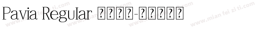 Pavia Regular 语言英文字体转换